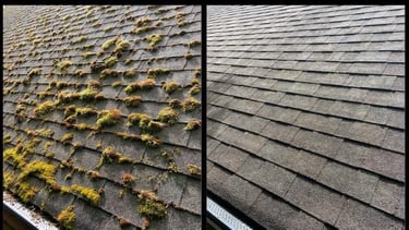 ROOF MOSS REMOVAL