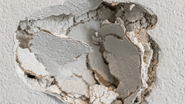 drywall repair