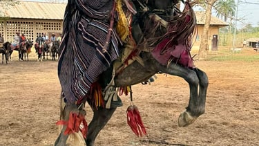 A Horse man Sitting on the Horse during the Gaani Festival in Nikki Benin