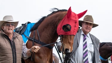 Horse Premiership