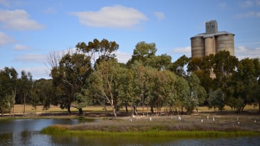 Northern Mallee landscape symbolising resilience and wellbeing