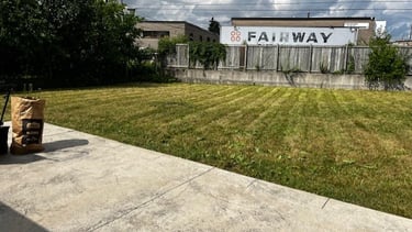 mowed grass