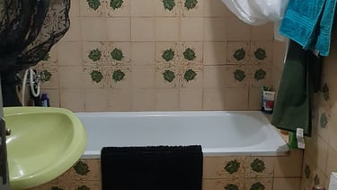a bathroom with a bathtub and a toilet