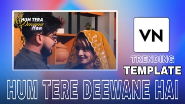 Hum Tere Deewane Hai