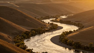 A construction site is visible with scaffolding along the side of a building. A yellow portable toilet stands on one side, featuring a sign with contact information. The construction area shows some building materials and a partially built structure, with a narrow view of windows from an adjacent building.