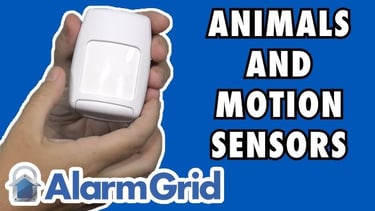 outdoor motion sensor