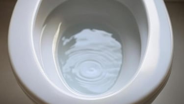 Toilette bouchée débouchage