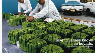 Weiterbildung in Effizienz steigern mit innovativen KVP-Workshops für Process Excellence