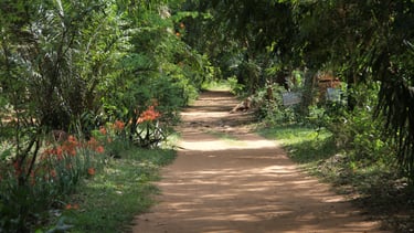 Jardin botanique et zoologique de Calavi