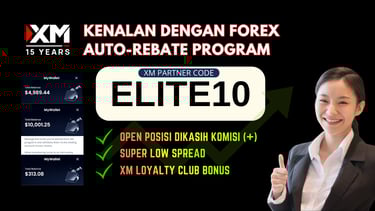 apa itu forex auto rebate program