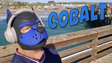 A man in a pup mask and headphones standing on a pier.