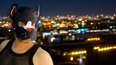 A man in a pup mask standing on a rooftop at night