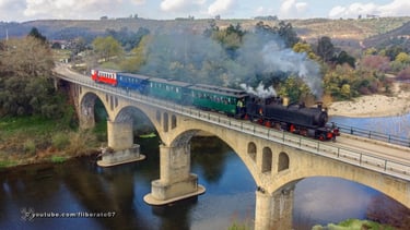 Comboio Histórico do Vouga a vapor com locomotiva a carvão CP E214