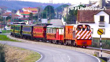 Comboio histórico do Vouga ESPECIAL DE NATAL