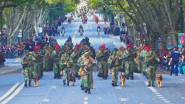 Maior desfile militar em Portugal na Comemoração dos 100 anos Armistício da Primeira Guerra Mundial