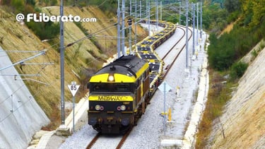 Medway 1907 plataformas Sgnss RENFE Mercancías