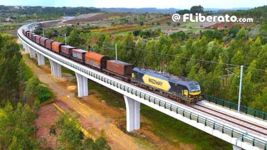 Medway siderúrgico Tramesa Concordância Pampilhosa