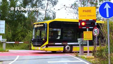 Meias barreiras Metrobus Mondego SMM