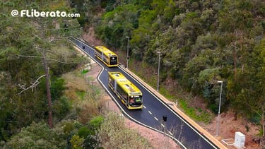 metrobus mondego cruzamento testes