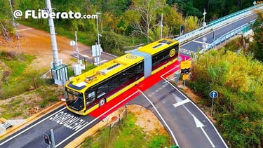 Metrobus PN Miranda do Corvo