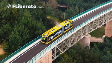 Metrobus Mondego Serpins