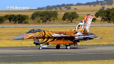 NATO Tiger Meet 2025 Beja F16 Jaguares