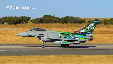 NATO Tiger Meet 2025 Eurofighter Typhoon F-2000A Itália