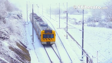 UTE 2242 Beira Baixa Guarda Neve