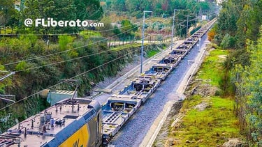 vagões Sdggmrss semi-reboques  Tatravagonka RENFE Mercancías