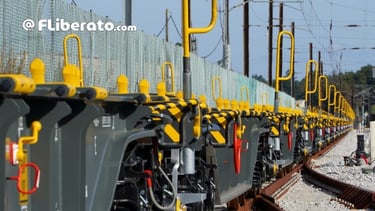 Vagões Sgnss RENFE Oliveirinha