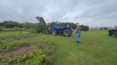 Fallen Tree Removal
