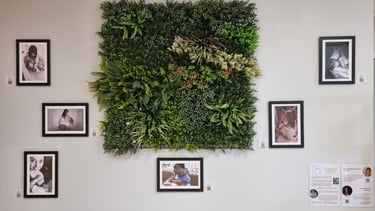 La galerie itinérante Seinpristi aux Pépites du Loup à Saint-Malo