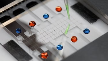 Digital microfluidic device developed by Blue Ocean Technologies for rapid and precise testing.