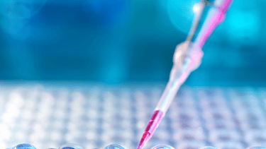 Pipette transferring liquid to a well plate