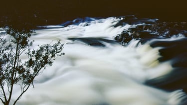 A long exposure of rapids taken on Kodak Ektar 100. 