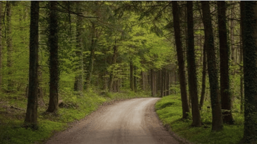 Ann Emerson Udemy Training Course Introduction to Sacred Paths 
