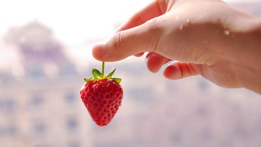 morango-do-amor-vendas-agro