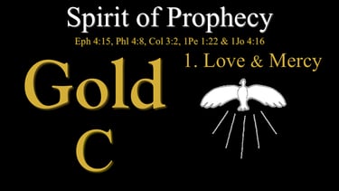 C - 1. Love & Mercy