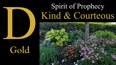 D - Kind & Courteous