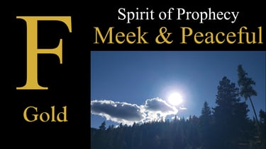 F. Meek & Peaceful