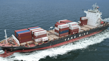 9319090 ym initiative