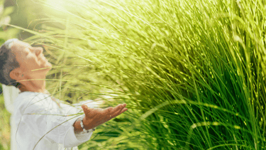 the king of kings watchmen women in a field