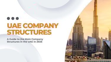 IgniteX Solutions describing the different company structures in the UAE (LLC, FZE, FZ CO etc.)