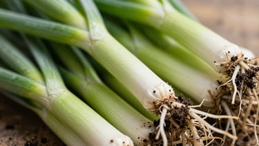 Macro close-up of fresh green leeks with tiny specks of rich dark soil clinging to roots, bright morning daylight, shallow depth of field