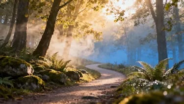 Ruhiger Waldweg im Morgenlicht, symbolisiert Nähe und Unterstützung für Angehörige von Demenzkranken
