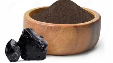 Shilajit Extract