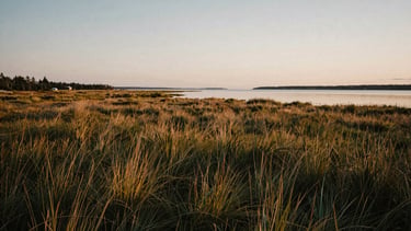 Wide panoramic Nova Scotia salt marsh at dusk, soft golden light, low horizon, weathered grasses, calm water reflecting the sky, quiet and authentic.