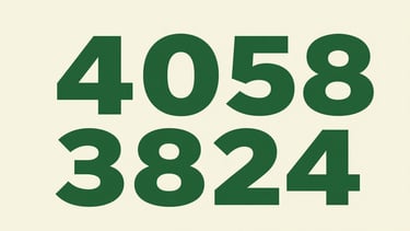 A clean, high-contrast graphic displaying the phone number 401 358 3824 in bold forest green text on a soft cream background.