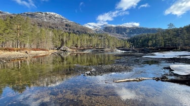 Upstream of Lake Låtevatn is scenic beautiful, but also packed with Woodpeckers.