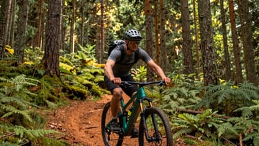 A vibrant photography of a mountain biker pausing on a forest trail in the Vosges Region. The sunlight filters through tall pine trees, casting a warm glow on the forest green bike and the rider's gear. The composition is dynamic and inviting, emphasizing the natural beauty of the Remiremont area with sage green foliage and rust orange soil.